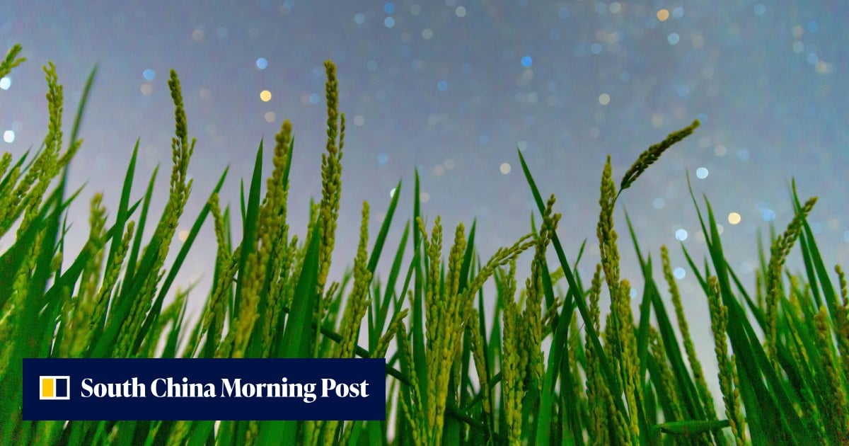 China builds world’s first custom plant immunity system for epidemic response