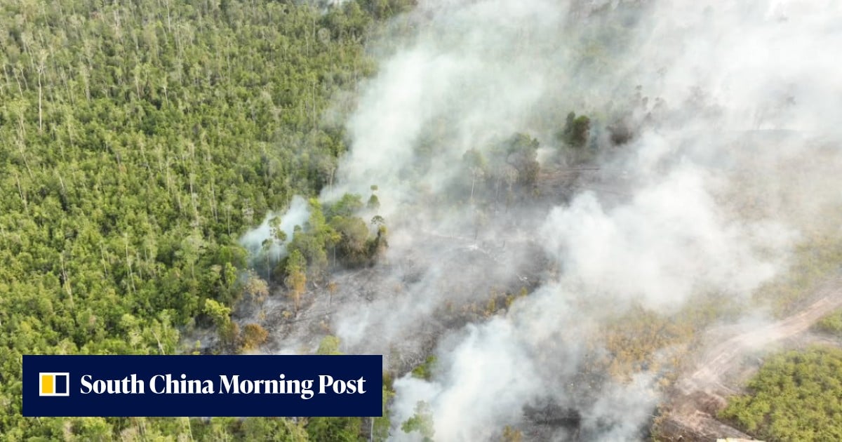 Indonesia arrests 72 suspected of starting forest fires as haze persists