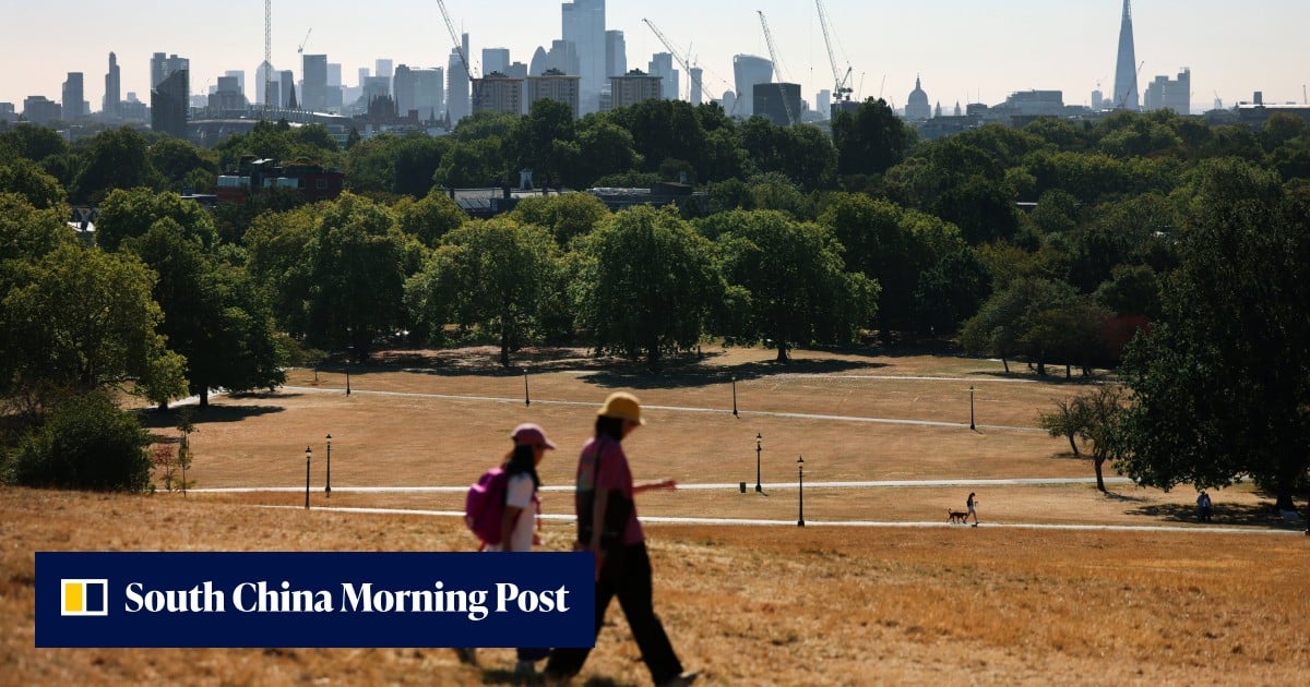 Homes crack as London heatwaves trigger record subsidence claims
