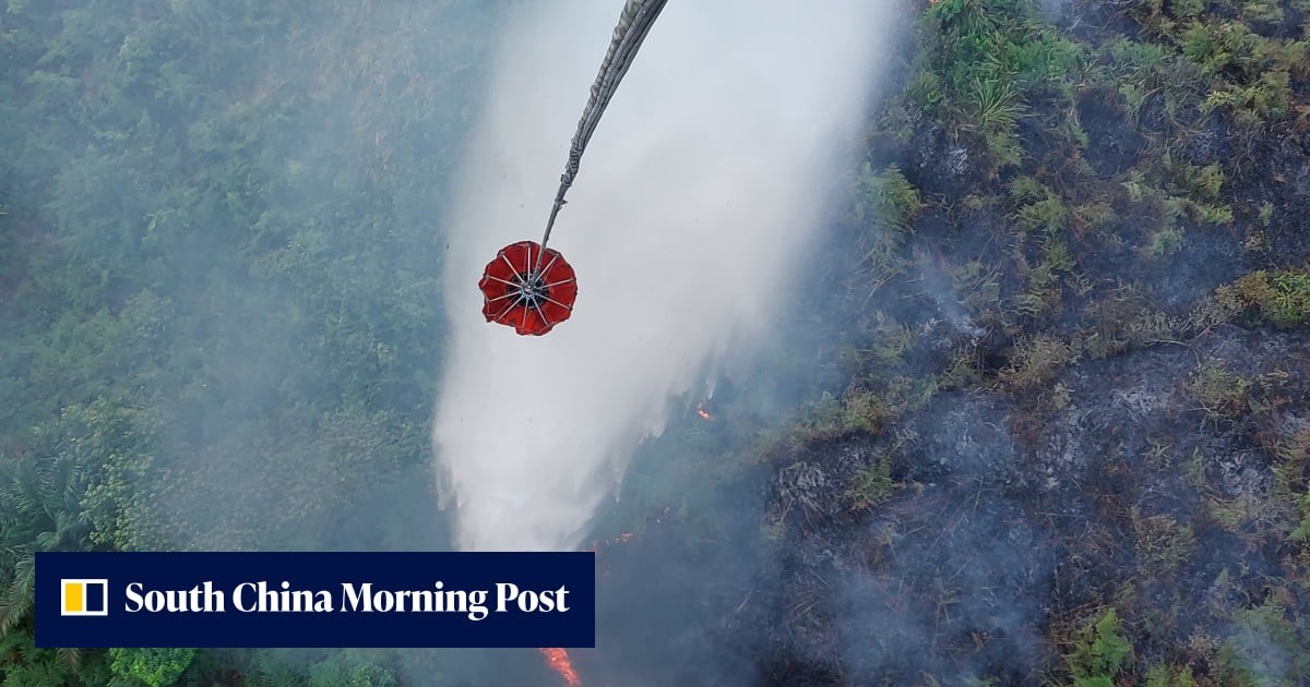 As toxic haze spreads, can Indonesia make land-burners pay?