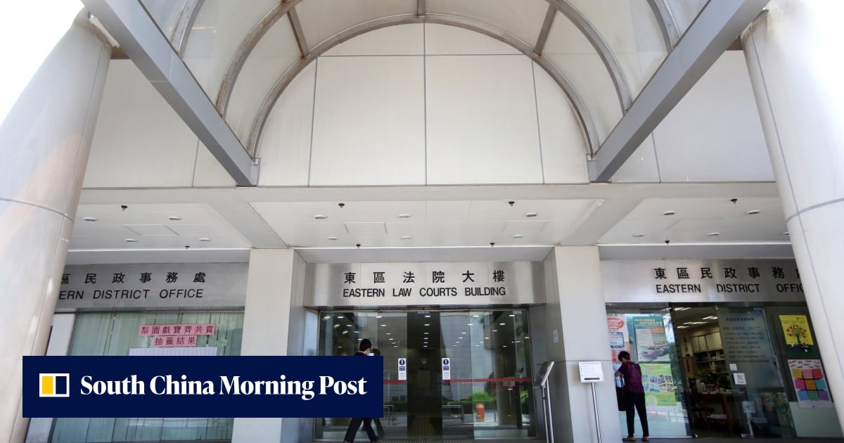 Woman fined HK$4,000 over unleashed dog attack at Hong Kong pet garden