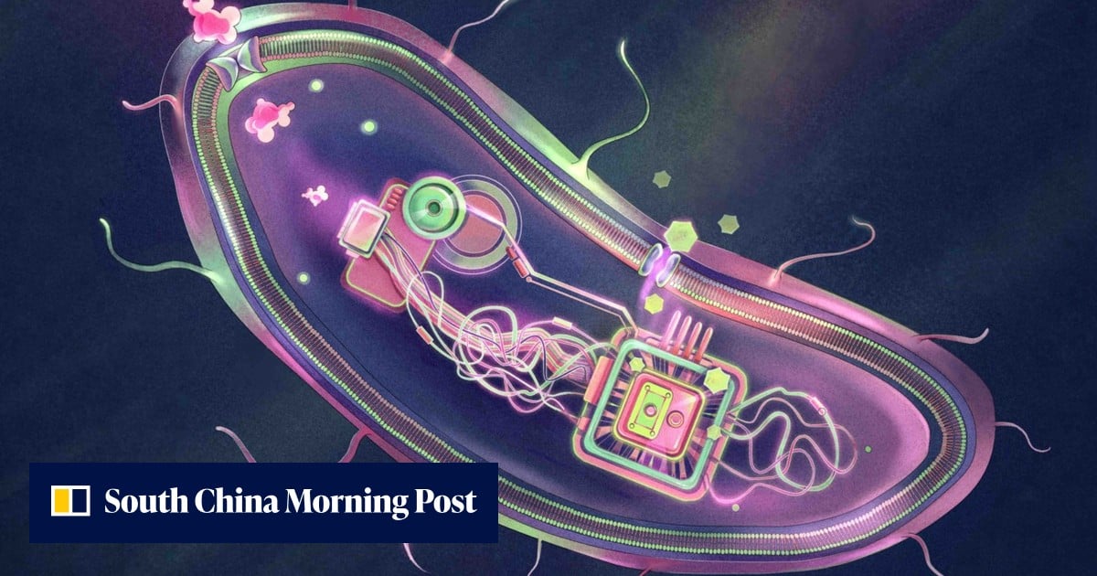 ‘Smart’ diabetes probiotic; Chinese missile AI with 90% accuracy: 7 science highlights