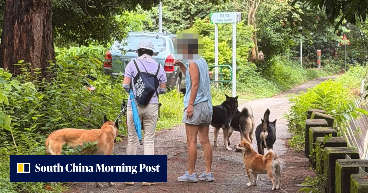 Dog injured, woman bitten in 2 new canine attack cases in Hong Kong