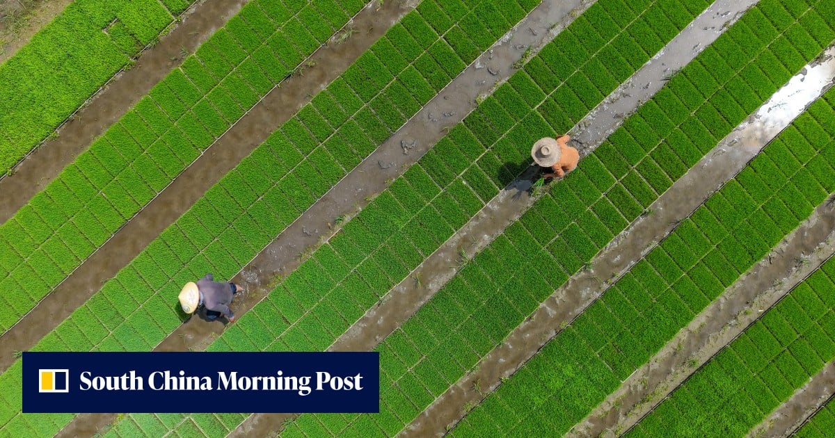 Amid ‘super’ El Nino worry, Li Qiang vows ‘all necessary measures’ to secure autumn harvest