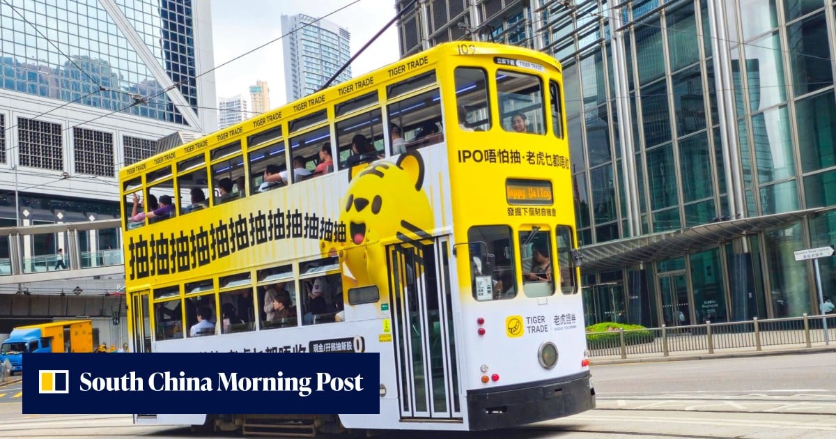 Tiger, Futu post strong overseas gains after Beijing clampdown stalls mainland growth
