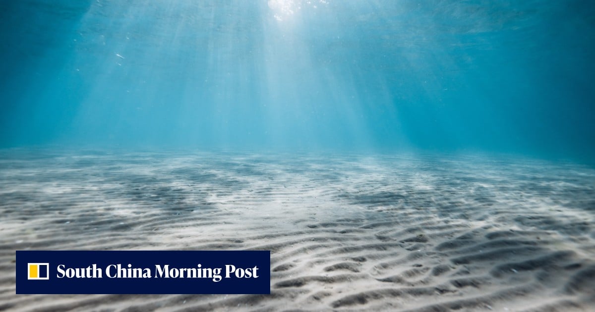 Chinese map of South China Sea floor has ‘twice the resolution’ of Western ones