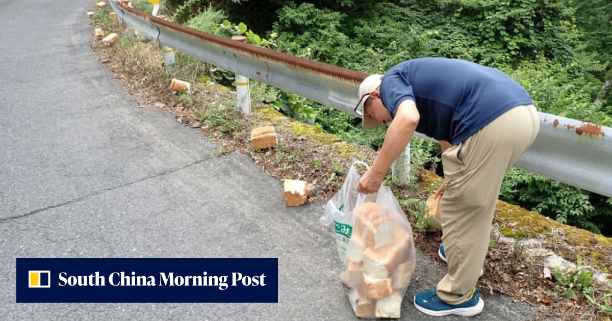 Japan probes 39kg of bread dumped in national park