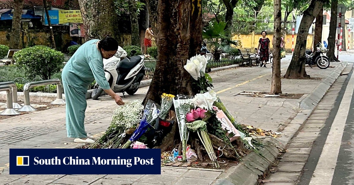 How a tree in Hanoi points to flowering of dissent among Vietnam’s Gen Z