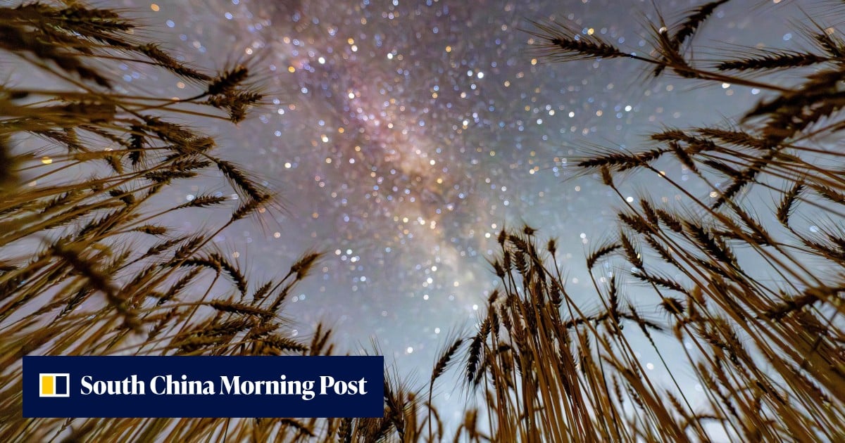 https://cdn.i-scmp.com/sites/default/files/styles/og_image_scmp_generic/public/d8/images/canvas/2026/08/31/40e53543-c08b-4f4d-891b-1ac521dd680f_ad5e6fd4.jpg?itok=7r2q1UsU&v=1788167210