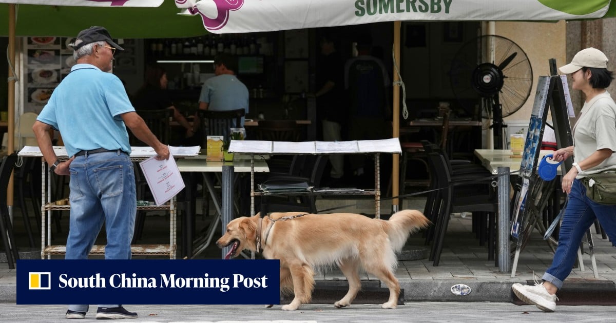 Demand for dog genetic testing surges after Hong Kong clampdown over attacks
