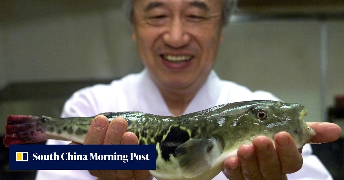 Japan’s deadliest delicacy is getting more dangerous