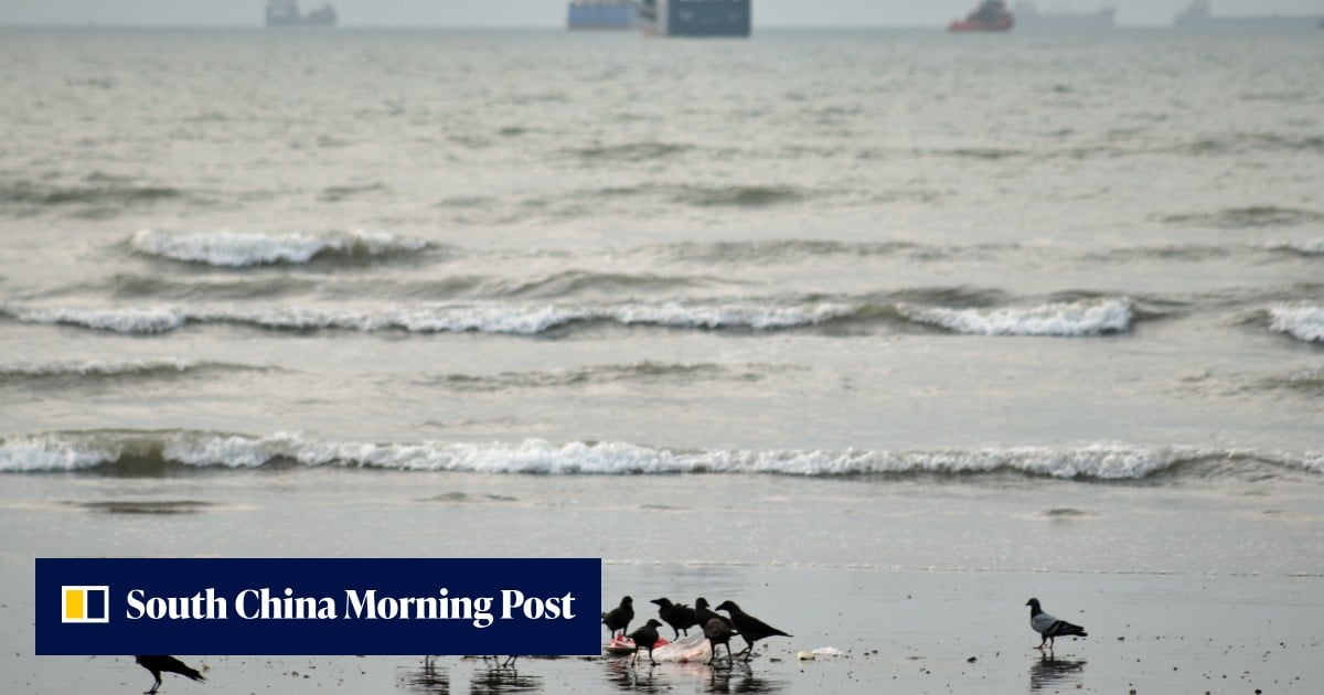 2 Filipino sailors killed in Iran’s attack on vessel, Saudi Arabia says