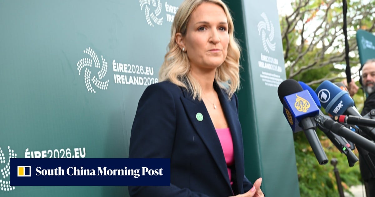 Ireland must prepare for Northern Ireland reunification vote, foreign minister says
