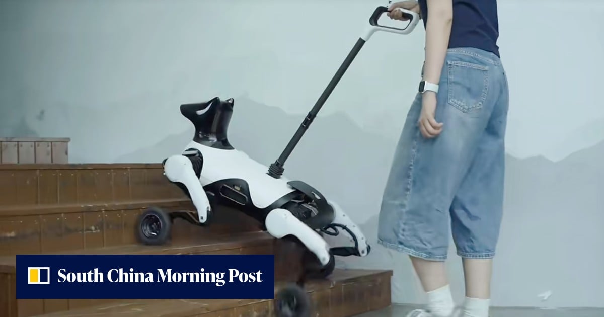 Robot guide dog debuts in China amid severe lack of furry counterparts