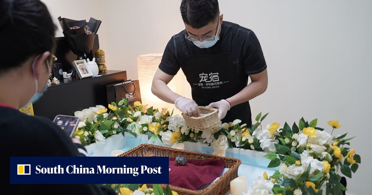 China’s billion-dollar pet funeral industry stays largely unregulated without public oversight