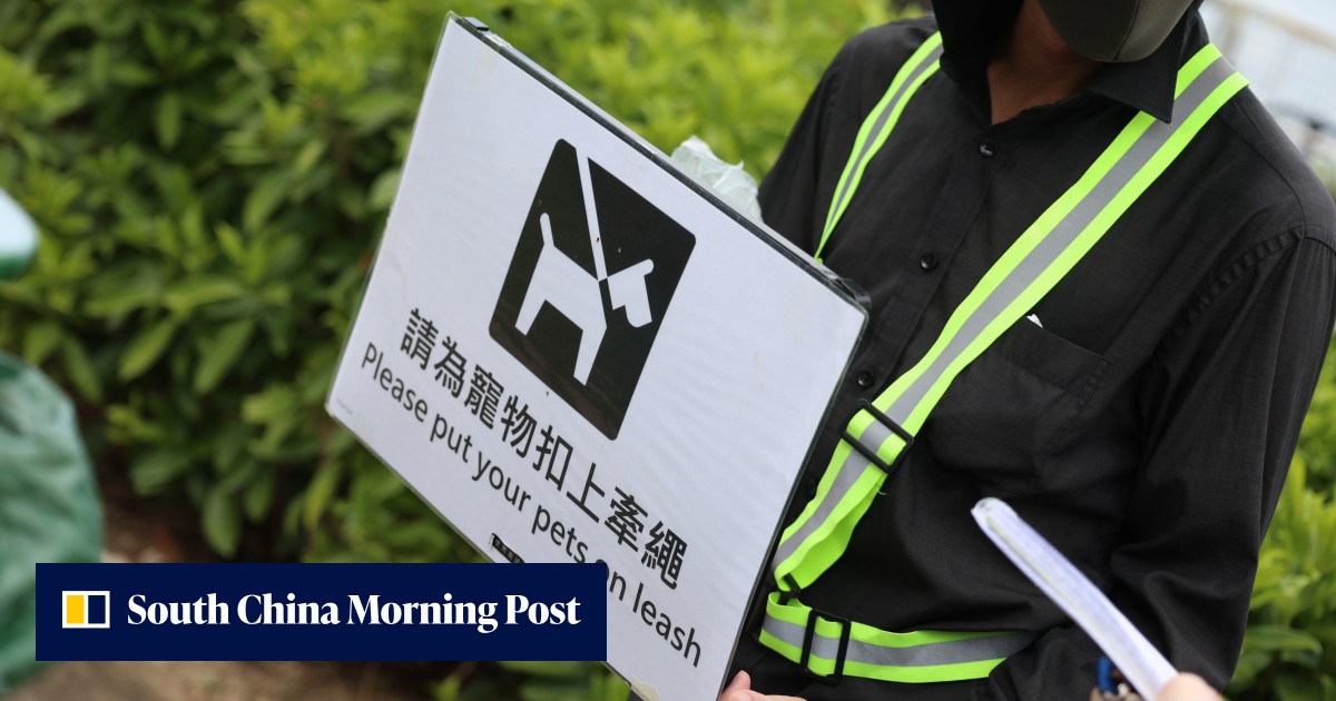 Safety or hostility? Dog owners split over Hong Kong’s crackdown on leash rules