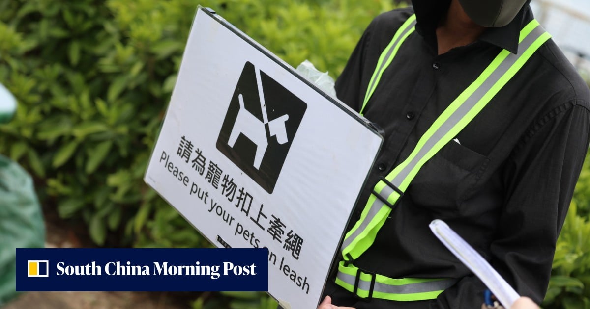 Safety or hostility? Dog owners split over Hong Kong’s crackdown on leash rules