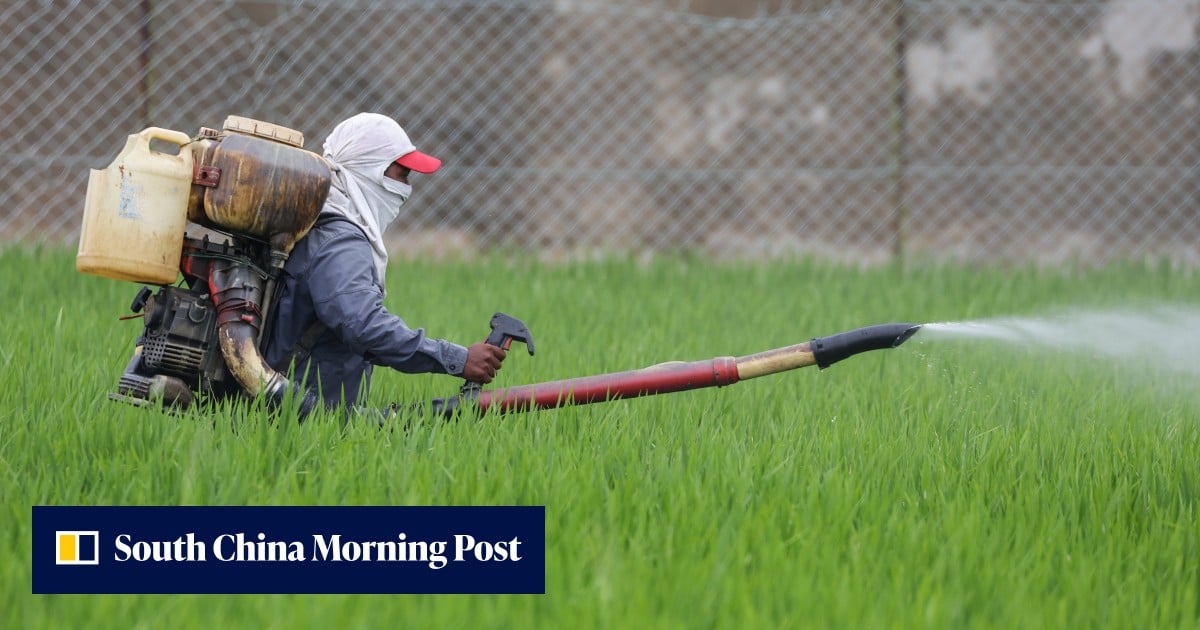 Southeast Asia’s Extreme Heat Exposes Gaps in Safety Net for Outdoor Workers