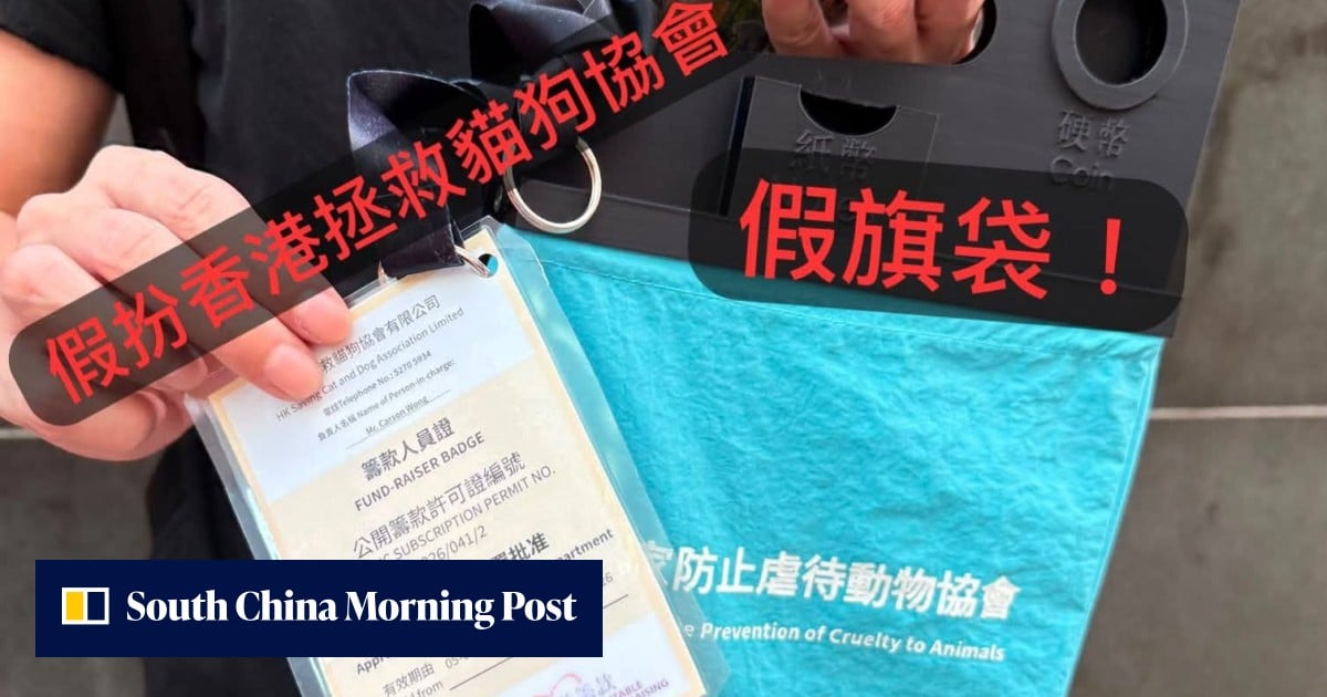 Man arrested over fake flag-day scam targeting animal charity donations