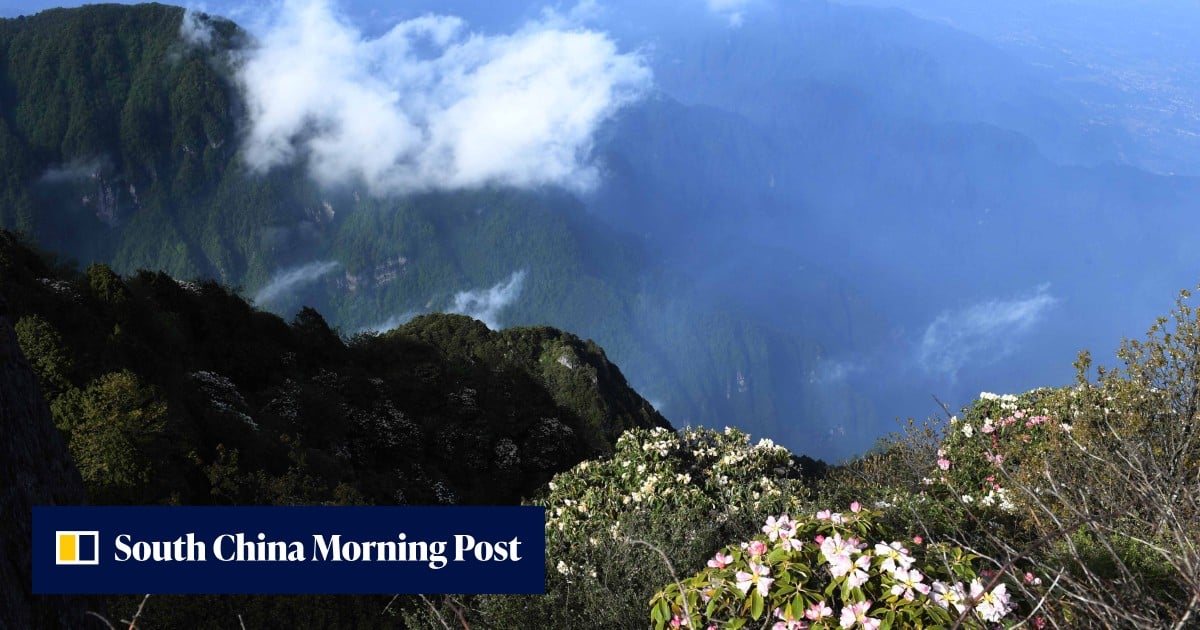 Rewriting world history puts China’s image and ‘cultural security’ at risk: party journal