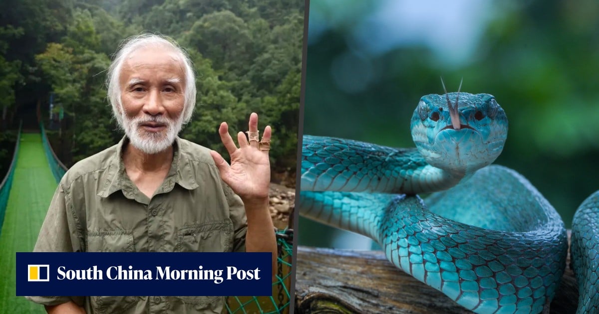 China ‘Snakeaholic’ dedicates life to studying, protecting snakes despite losing finger