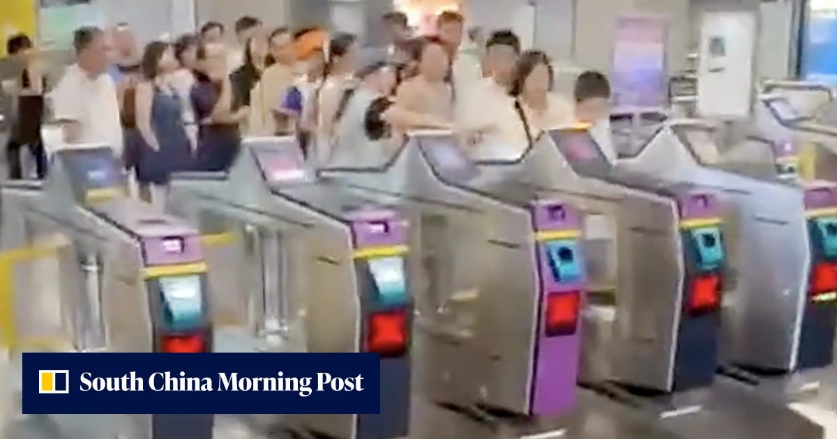 MTR reports mass fare evasion after video goes viral, vows more patrols