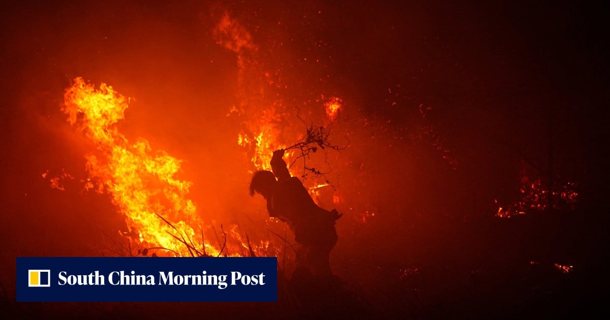 Indonesia’s wildfire emissions surge to world’s highest, data shows