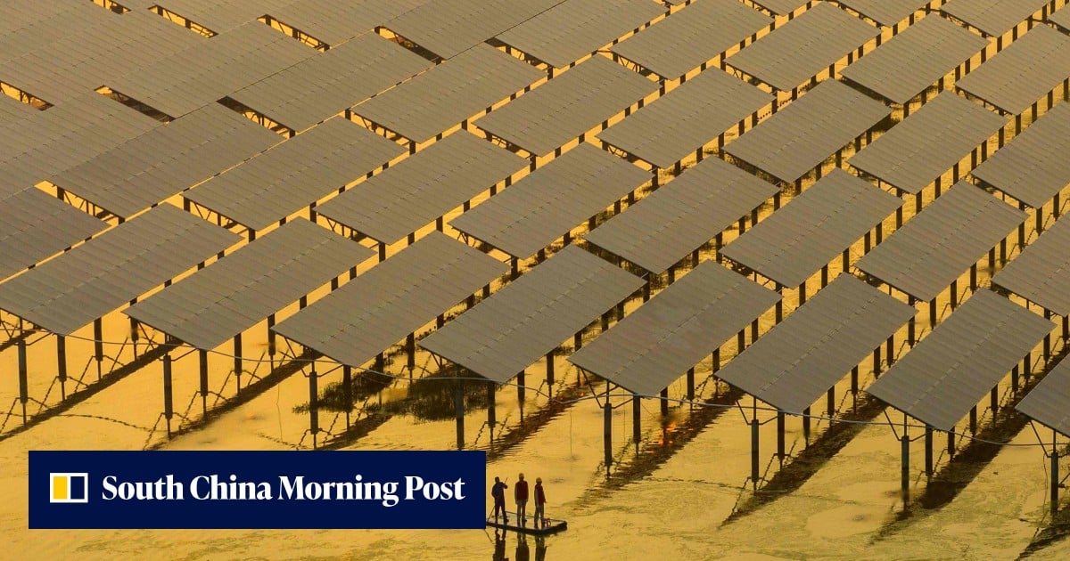 Chinese Energy Firms Urge Policy Stability for Overseas Expansion