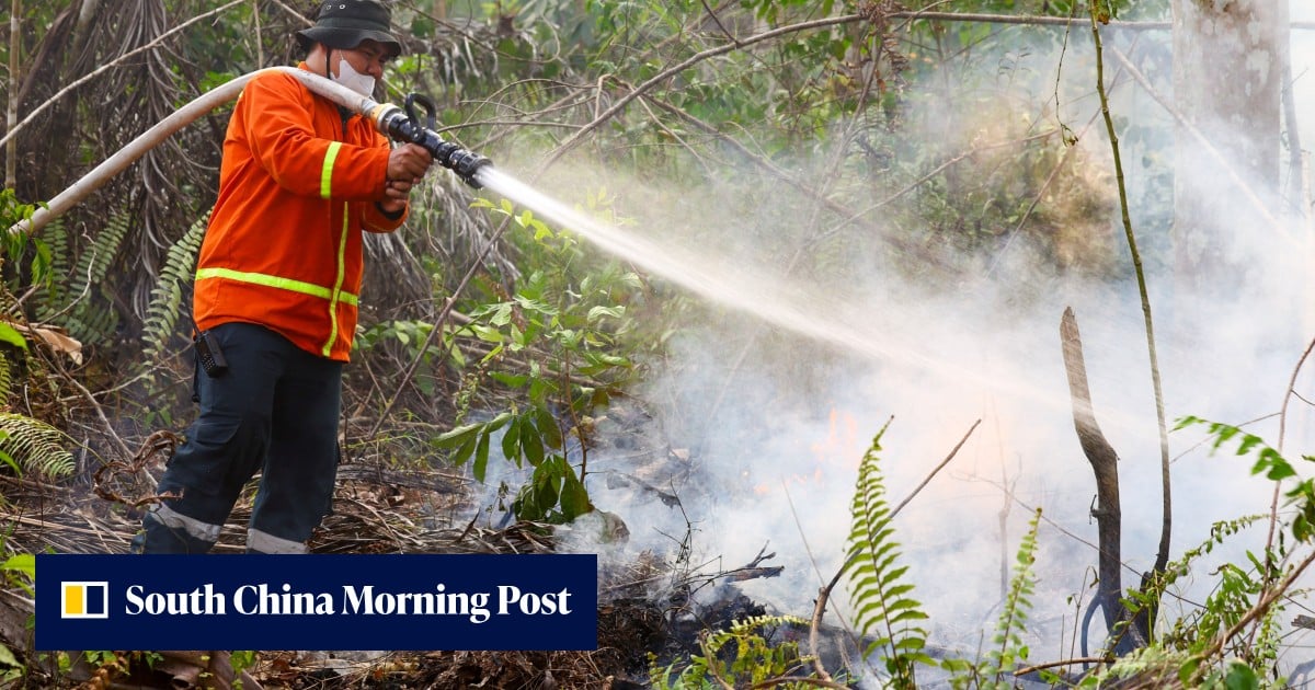 Wildfires threaten Indonesia’s new capital as carrier ordered in