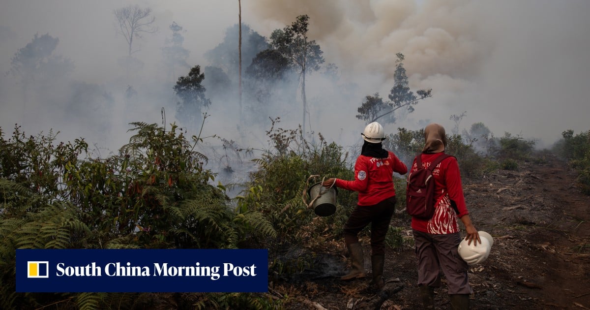 https://cdn.i-scmp.com/sites/default/files/styles/og_image_scmp_generic/public/d8/images/canvas/2026/09/11/d43bd1a2-2d60-487a-a059-e668946a5862_f0c9ea77.jpg?itok=Ah8g9ypB&v=1789121160