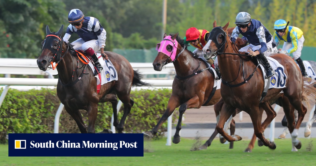 Who wins at Sha Tin? Lucy can go Sky-high on the quick backup