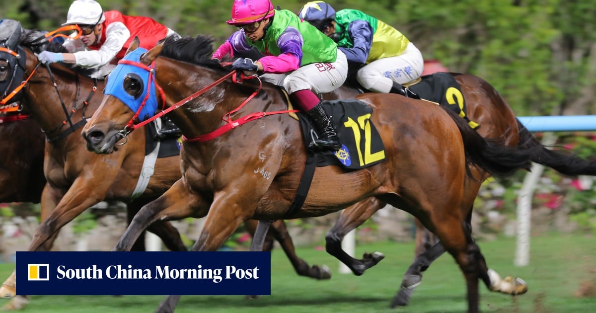 Bunta Baby and Max Que Lead Happy Valley’s Eight‑Race Card