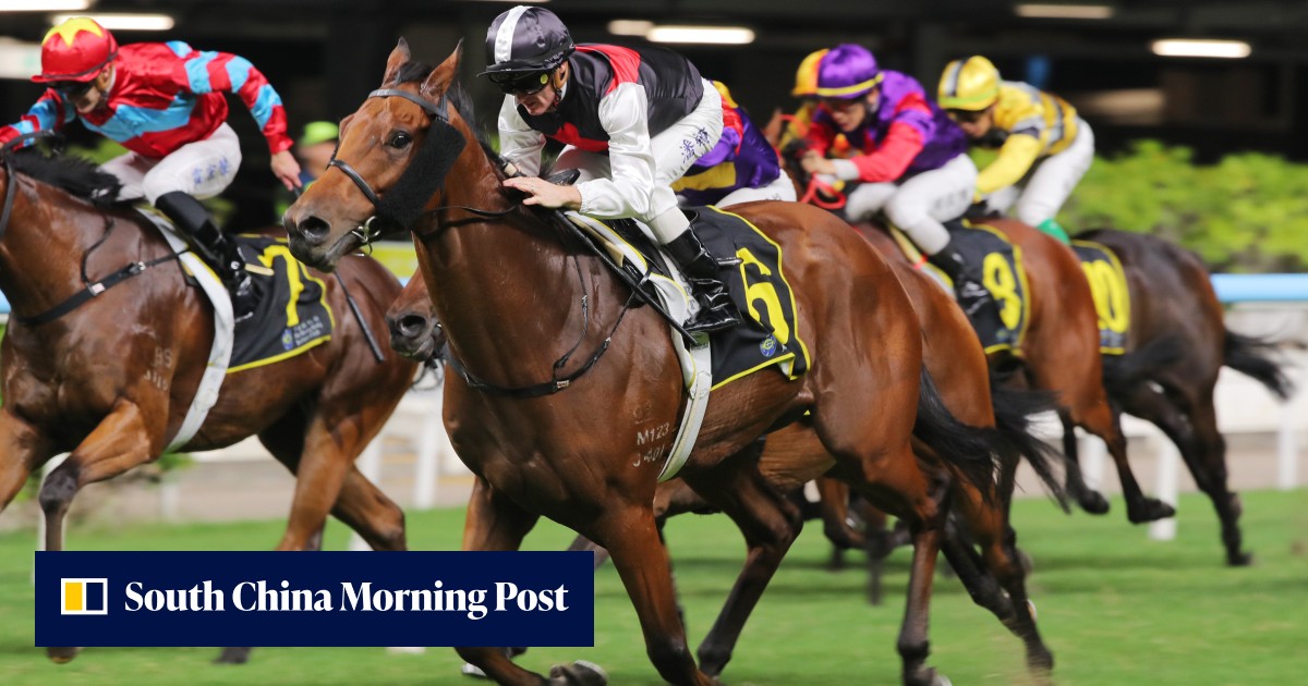 Douglas Whyte heaps praise on Zac Purton as pair collects race-to-race ...