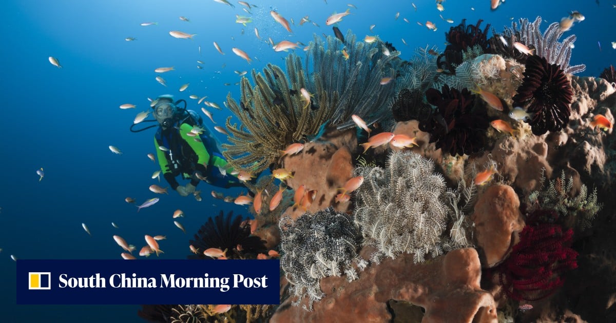 Malaysian woman scuba diving in Bali dies after being swept away by currents