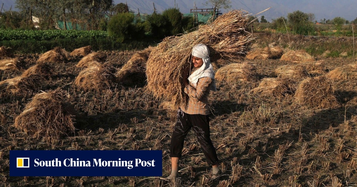 Risk of unrest in Asia as Iran war, El Nino threaten food supplies