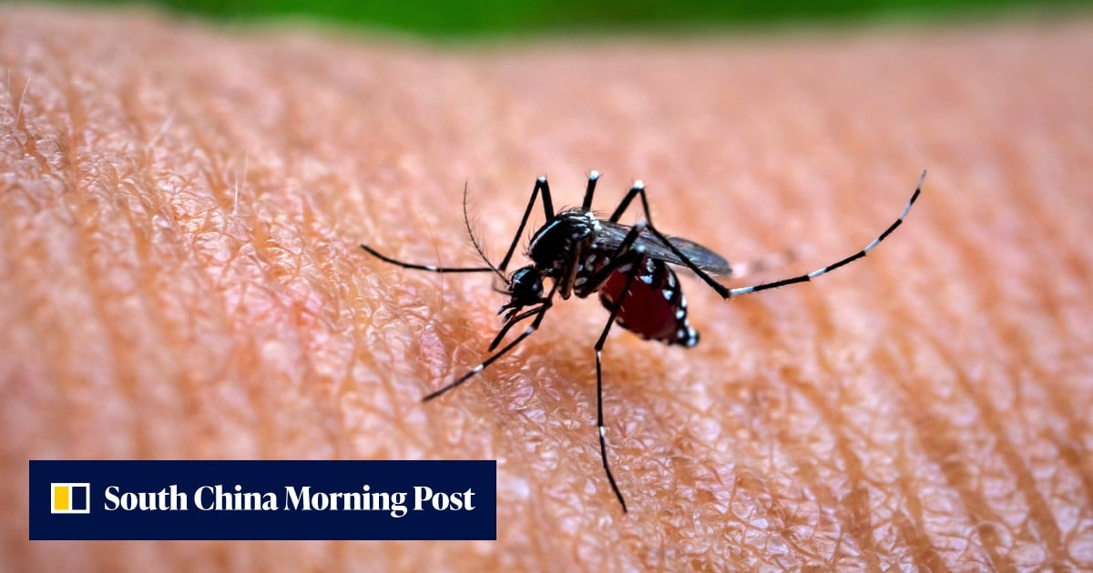 Doctors urged to test for chikungunya as Hong Kong detects first local 2026 case