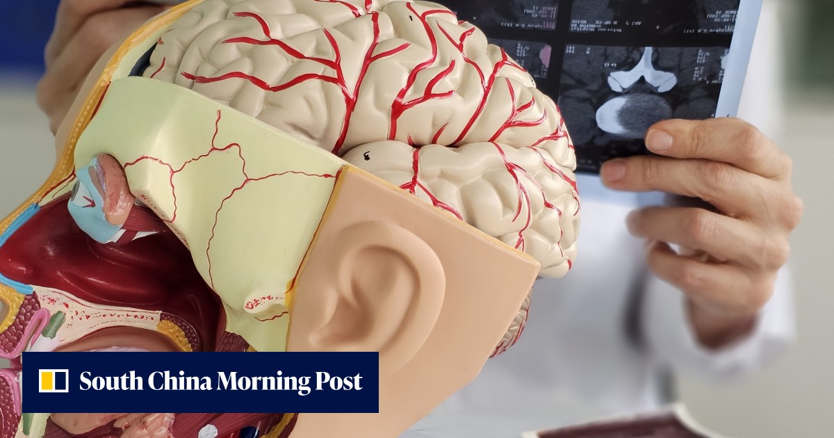 https://cdn.i-scmp.com/sites/default/files/styles/og_image_scmp_generic/public/d8/images/canvas/2026/09/18/8600b602-5de5-4c85-a070-b1342f5855f7_17400843.jpg?itok=phE1xXg0&v=1789729452