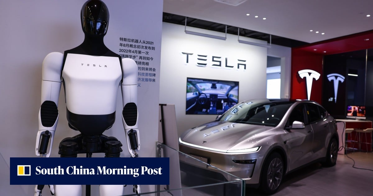 Tesla auditing Chinese suppliers ahead of Optimus roll-out: sources