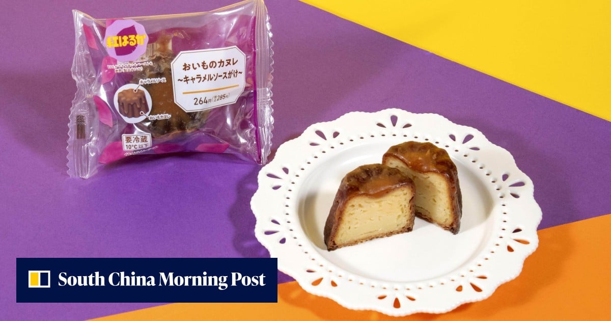 Pickle-flavoured tart, anyone? Japanese convenience stores turn to AI for novelty sweets