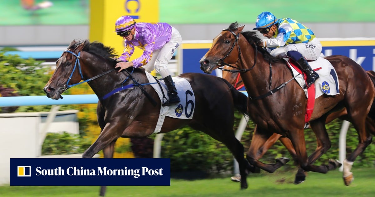 Calmer Little Paradise set to launch Hong Kong Mile mission in Celebration Cup