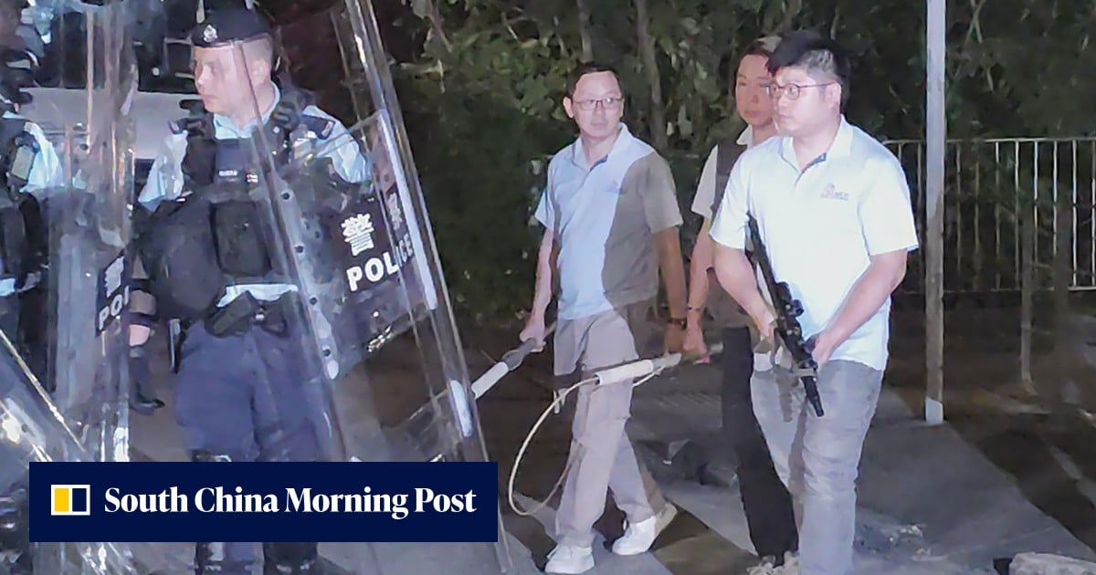 3 stray mongrels captured after cyclist dies in suspected dog attack