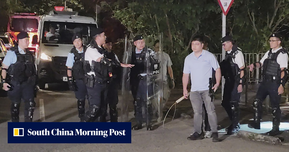 3 stray mongrels captured after cyclist dies in suspected dog attack