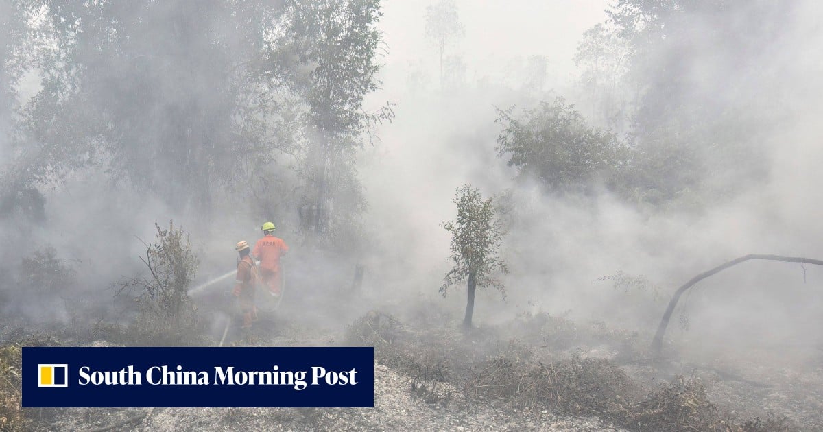 Indonesia breathing issues spike to over 170,000 cases amid wildfire haze