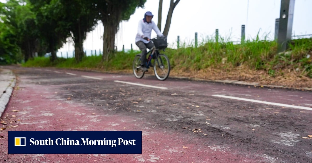 Fatal dog attacks trigger safety fears in Hong Kong. Here’s how to protect yourself