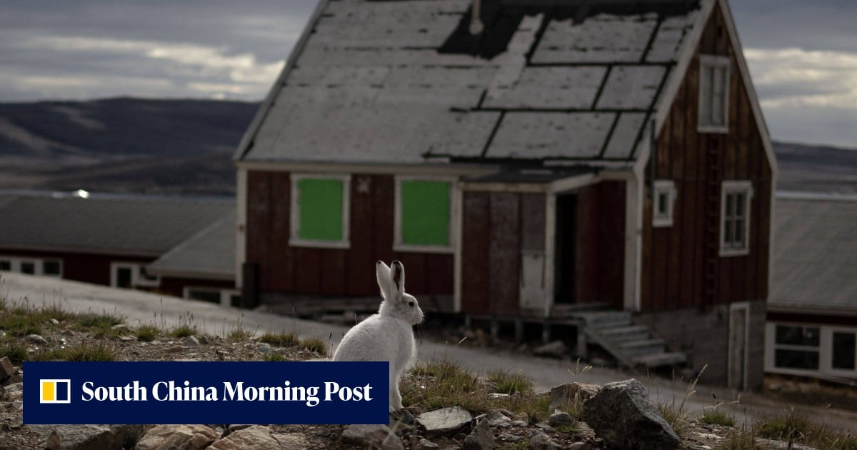 US, Greenland, Denmark to sign deal at UN in New York in bid to end Arctic stand-off