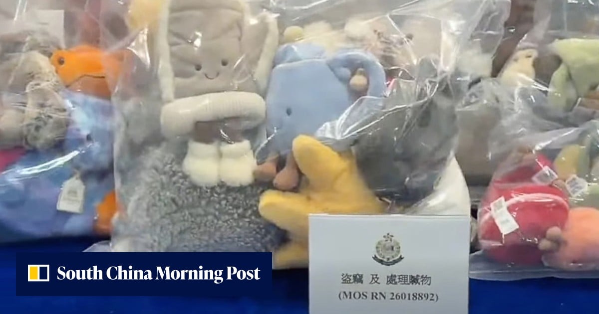 Police arrest 3 over HK$70,000 Jellycat claw machine shop theft