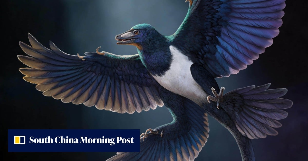 https://cdn.i-scmp.com/sites/default/files/styles/og_image_scmp_generic/public/d8/images/canvas/2026/09/30/a4f42b7f-5a72-423a-b774-e96345200d05_f6f122d0.jpg?itok=0IXn2hs3&v=1790751788
