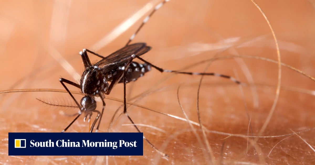 Chinese start-up behind laser mosquito killer set to start shipping orders - South China Morning Post