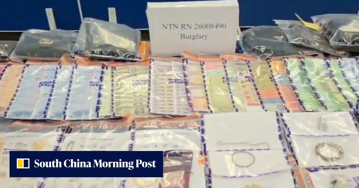 Police smash burglary ring that recruited illegal immigrants for 25 break-ins - South China Morning Post