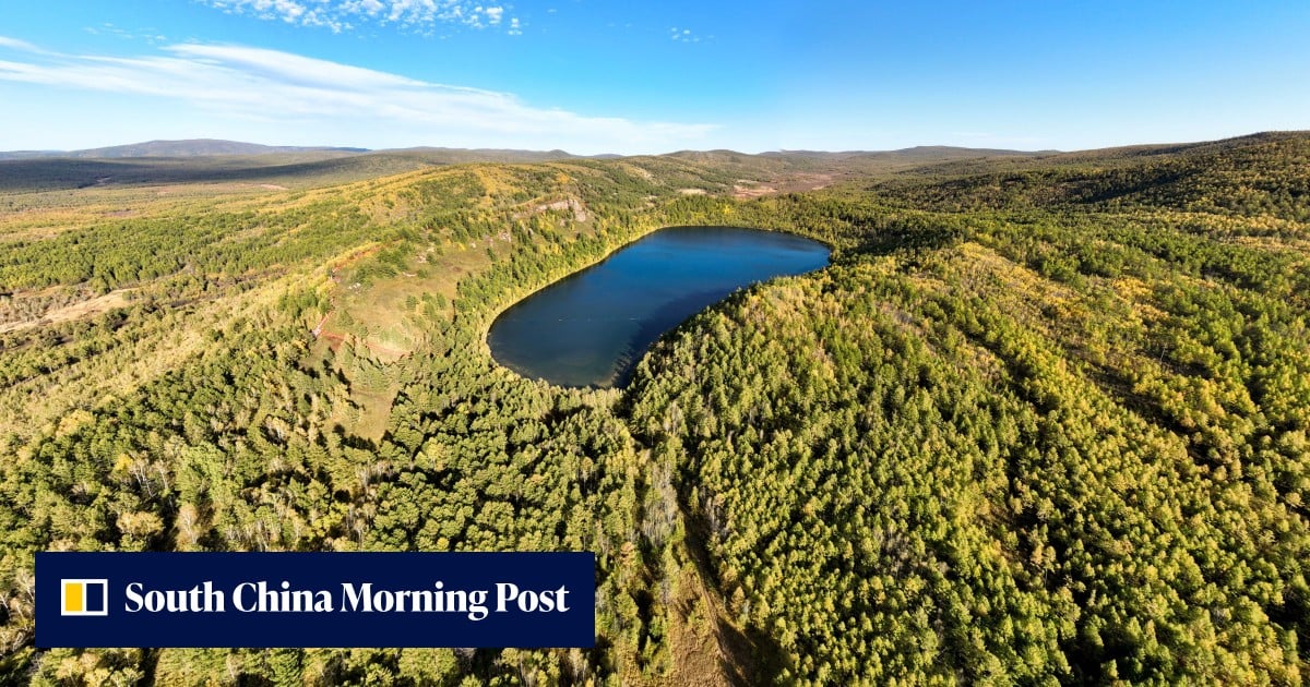 US, China botanists sign landmark proposal on cooperation and projects - South China Morning Post